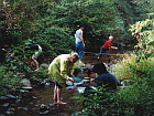 Ecology field studies Ecology field studies
